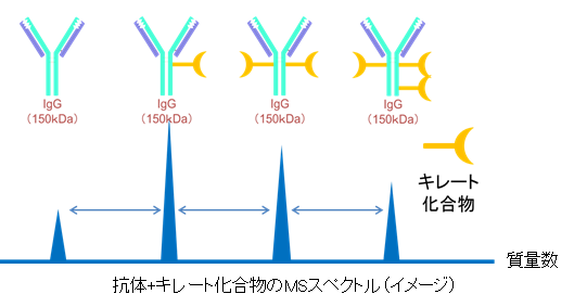 抗体医薬品の品質評価分析 | JFEテクノリサーチ株式会社 | PTJ