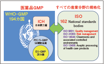 シリーズ GMP査察を巡る最近の話題④ WHO承認医薬品とGMP査察(1