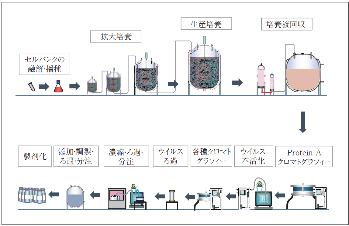 バイオ医薬品ハンドブック 第5版 バイオ医薬品の製造方法と管理