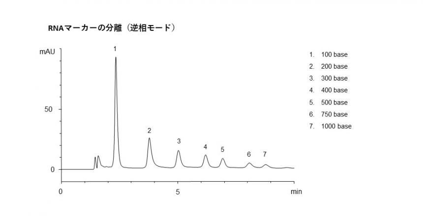 RNAマーカー.jpg