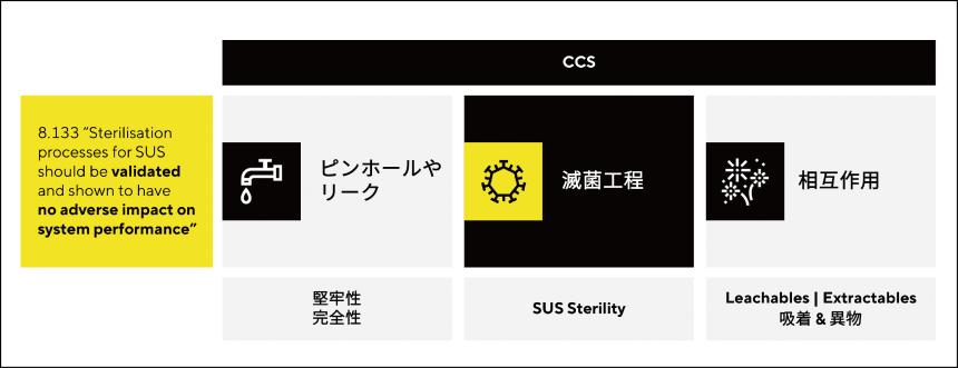 ステディム図1_0.jpg