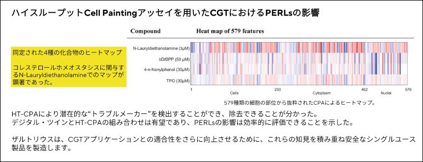 ステディム図2.jpg