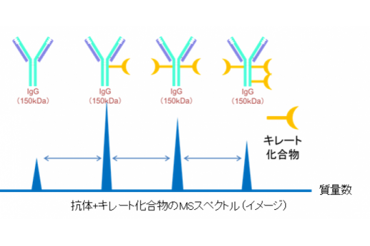 抗体医薬品の品質評価分析 | JFEテクノリサーチ株式会社 | PTJ